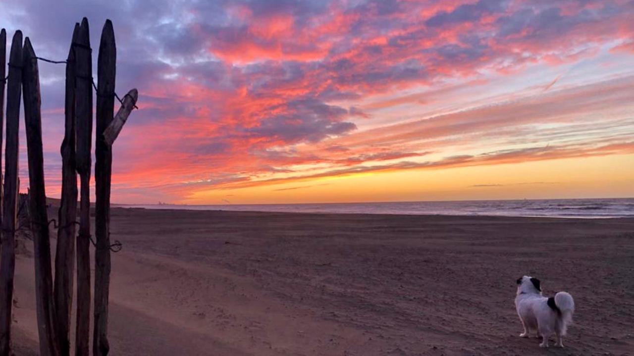 Beach House For You - Luxe Verblijf, 5 Min Van Het Strand Katwijk aan Zee Εξωτερικό φωτογραφία
