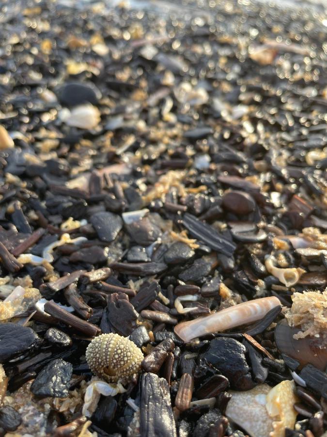 Beach House For You - Luxe Verblijf, 5 Min Van Het Strand Katwijk aan Zee Εξωτερικό φωτογραφία